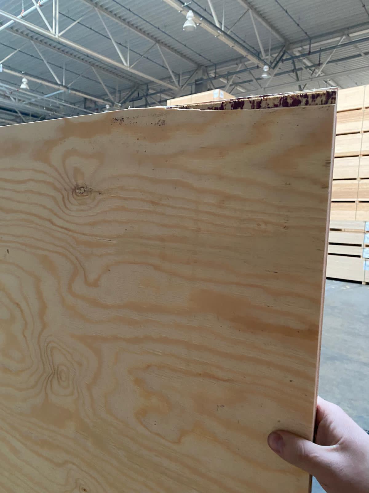 Rétegelt lemez fenyő 18 mm – 2500×1250 mm - Image 7