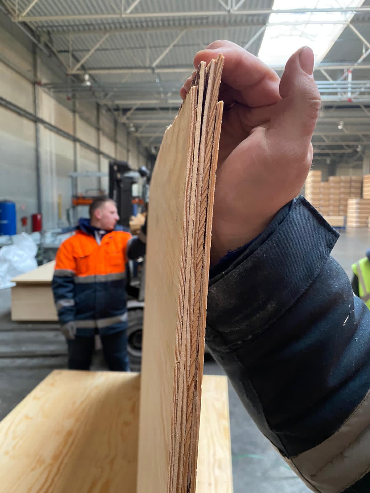 Rétegelt lemez fenyő 18 mm – 2500×1250 mm - Image 2