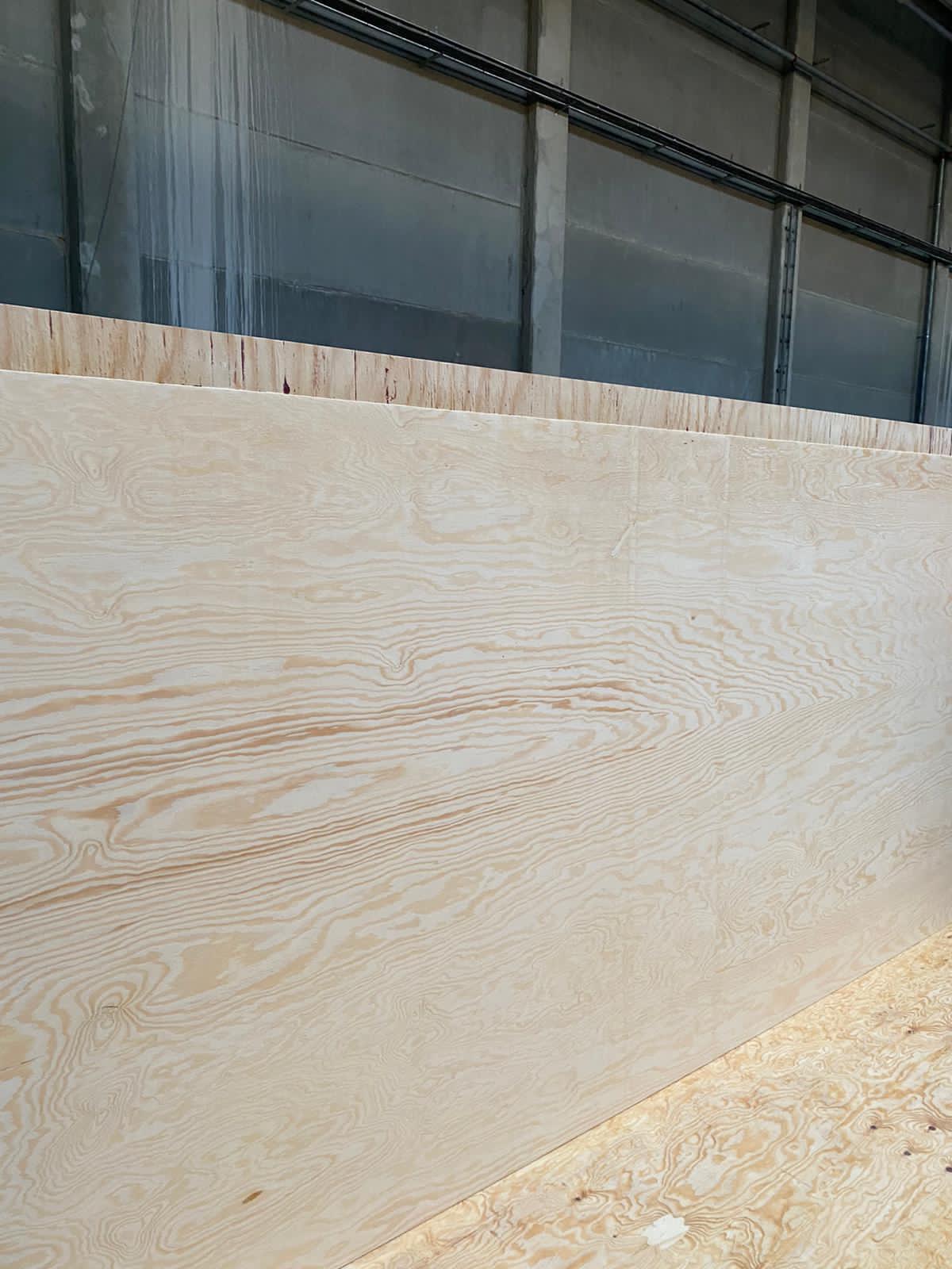 Rétegelt lemez fenyő 18 mm – 2500×1250 mm - Image 5